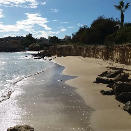 Family プロタラス